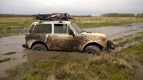 Вам наскучили нивы бесплодные