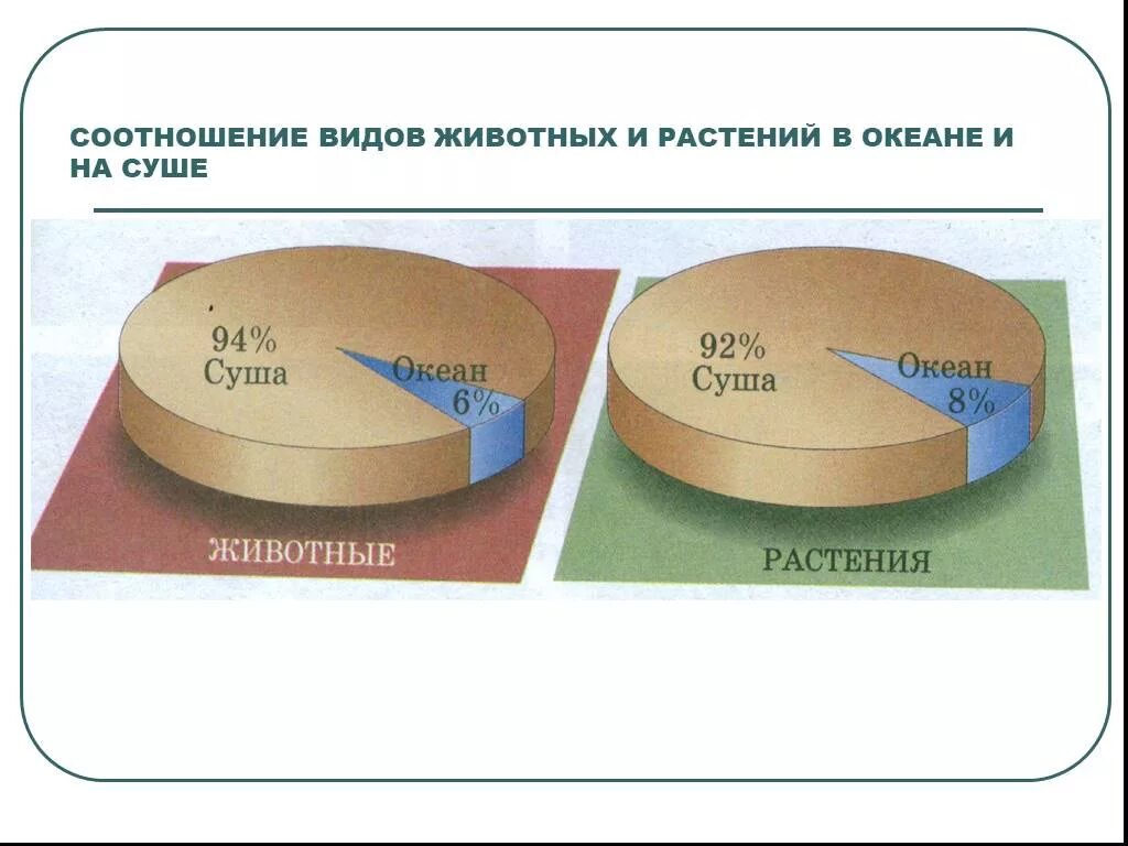 Сравните суммарную биомассу суши и океана. Соотношение видов животных и растений в океане и на суше. Соотношение животных и растений. Соотношение растений и животных на суше. Соотношение биомассы растений и животных в океане и на суше.