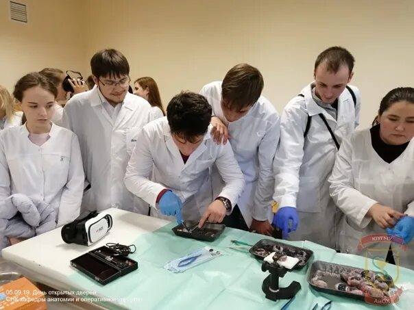 Кафедра анатомии бгму уфа. Юугму кафедра анатомии. Юугму кафедра анатомии. Кафедра анатомии вгму бурденко. Юугму кафедра анатомии.