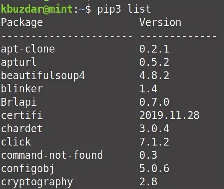 Список pip. Pip list.
