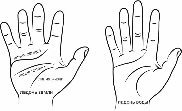 Что говорит форма рук. Типы ладоней хиромантия. типы рук в хиромантии. хиромантия форма руки. типы пальцев в хиромантии.