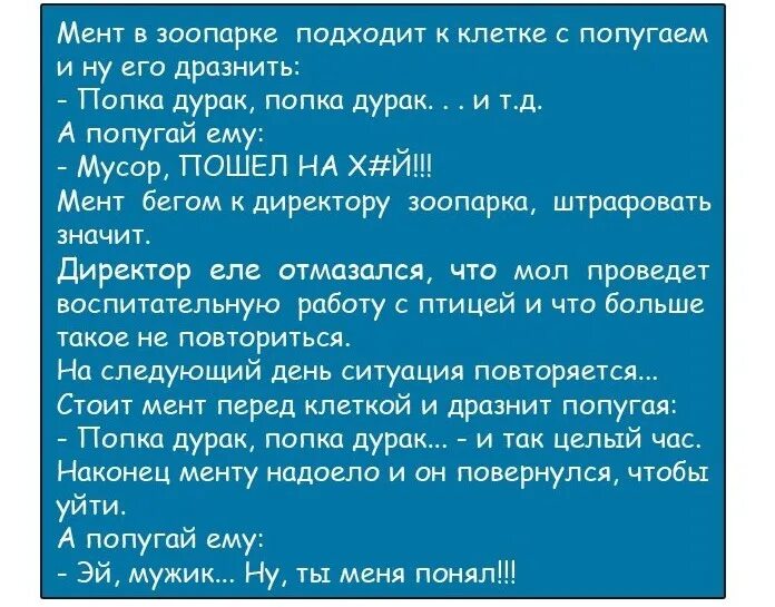 Анекдоты про сторожей. Сторож анекдоты. Сторож анекдоты. Сторож анекдоты. Анекдот про попугая и милиционера.