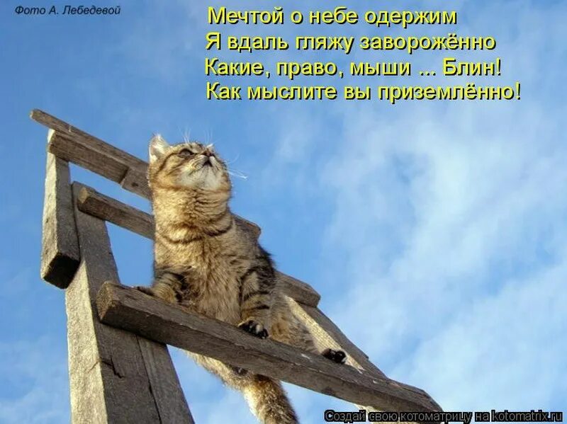 Не надо было верить. Приколы со словом чудо. надо верить в чудеса. а вы верите в чудеса. верить в чудо прикольные.