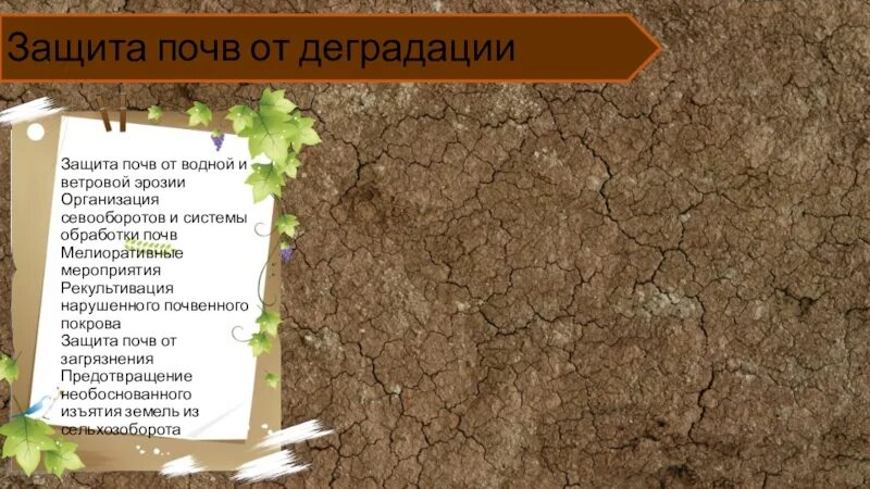 Почва презентация. Деградация почв. Дегумификация почв. Проблемы почвы. Плодородие почвы калужской области