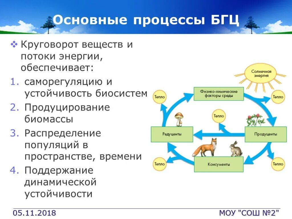 Основные процессы биогеоценоза. Процессы происходящие в экосистеме. Процессы экосистемы основные. Основной процесс в экосистеме. Какие процессы происходят на уровне