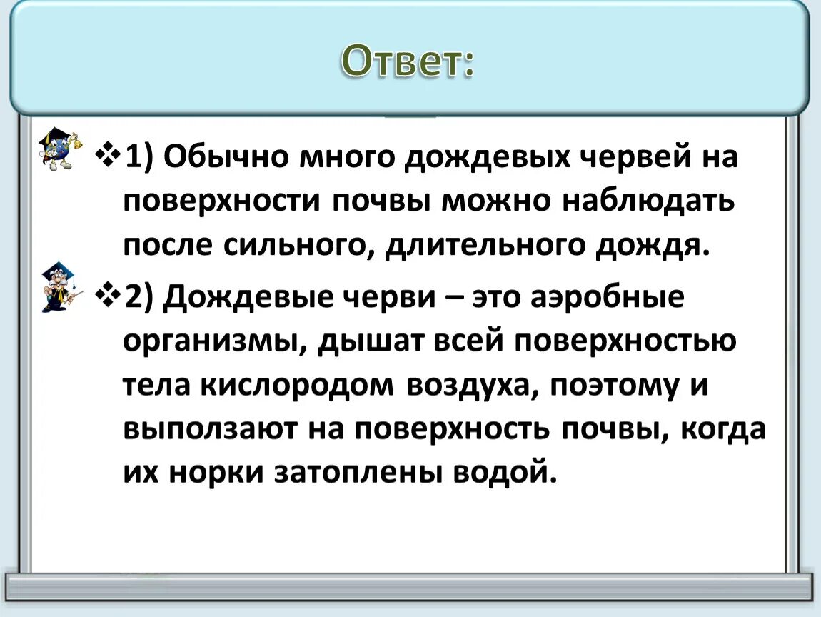 Почему после дождя черви выползают на поверхность. Почему после дождя выползают дождевые черви. Дождевые черви выползают на поверхность после дождя. Почему после дождя дождевые черви выползают на поверхность почвы. Много дождевых червей после дождя.