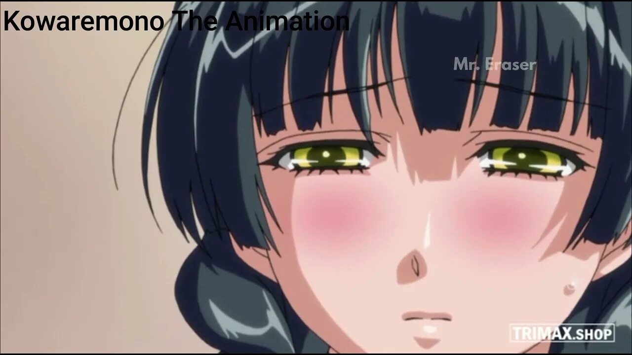 Кукла рабыня kowaremono the animation. Kowaremono: risa plus. сломленная риса. аниме сломленная риса. сломленная риса плюс аниме.