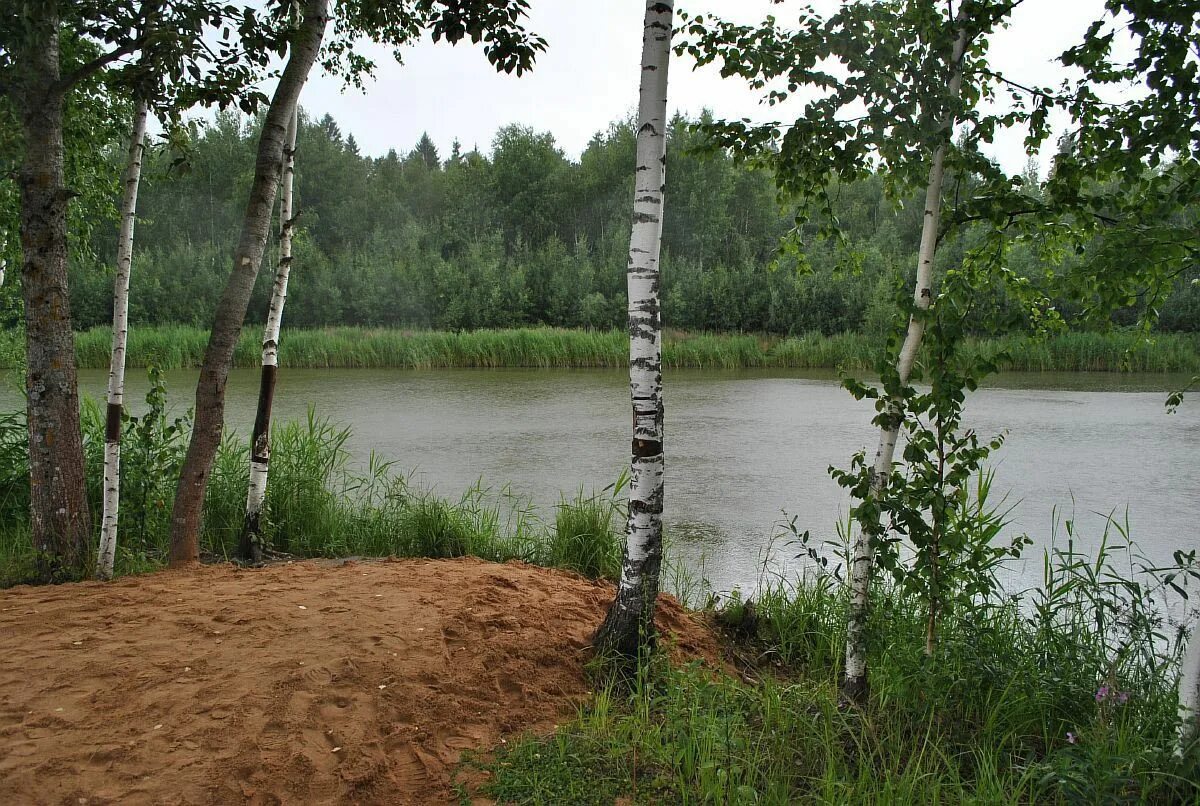 Рыбалка в шапкино наро фоминский. СНТ Дубки Наро-Фоминский район. Озеро Лесное СНТ Дубки. Деревня Порядино Наро-Фоминский район. Шапкино парк Наро-Фоминский район.