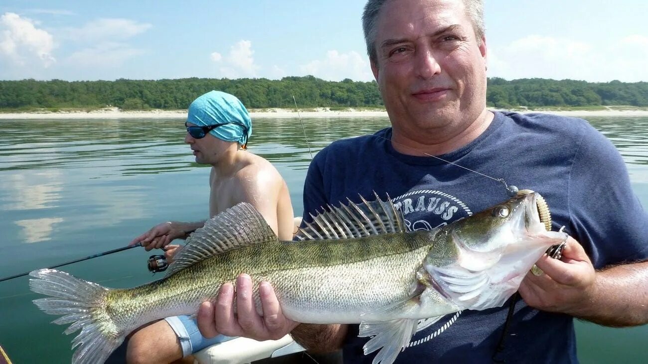 Дениз судак. Самая большая рыба в неве. Kraken санкт петербург. Петербург судак. Рыбалка.