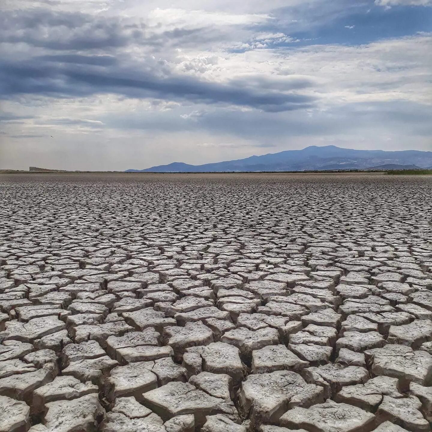 Засуха русский. Засуха Саладо Аргентина. Засуха на Кубани. Атмосферная засуха. Жара пустыня засуха.