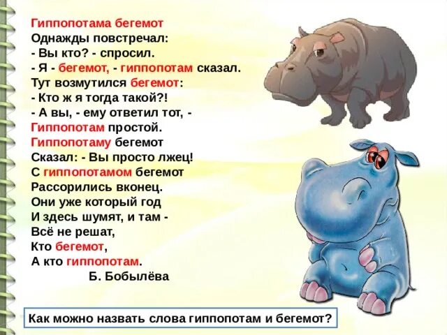 Родственник бегемота. Гиппопотама Бегемот однажды повстречал. Гиппопотам и Бегемот. Бегемот и гиппопотам разница. Отличие бегемота от гиппопотама.