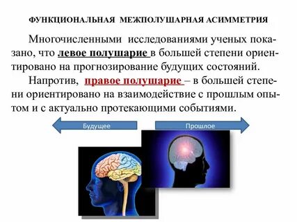 Асимметрия исследование