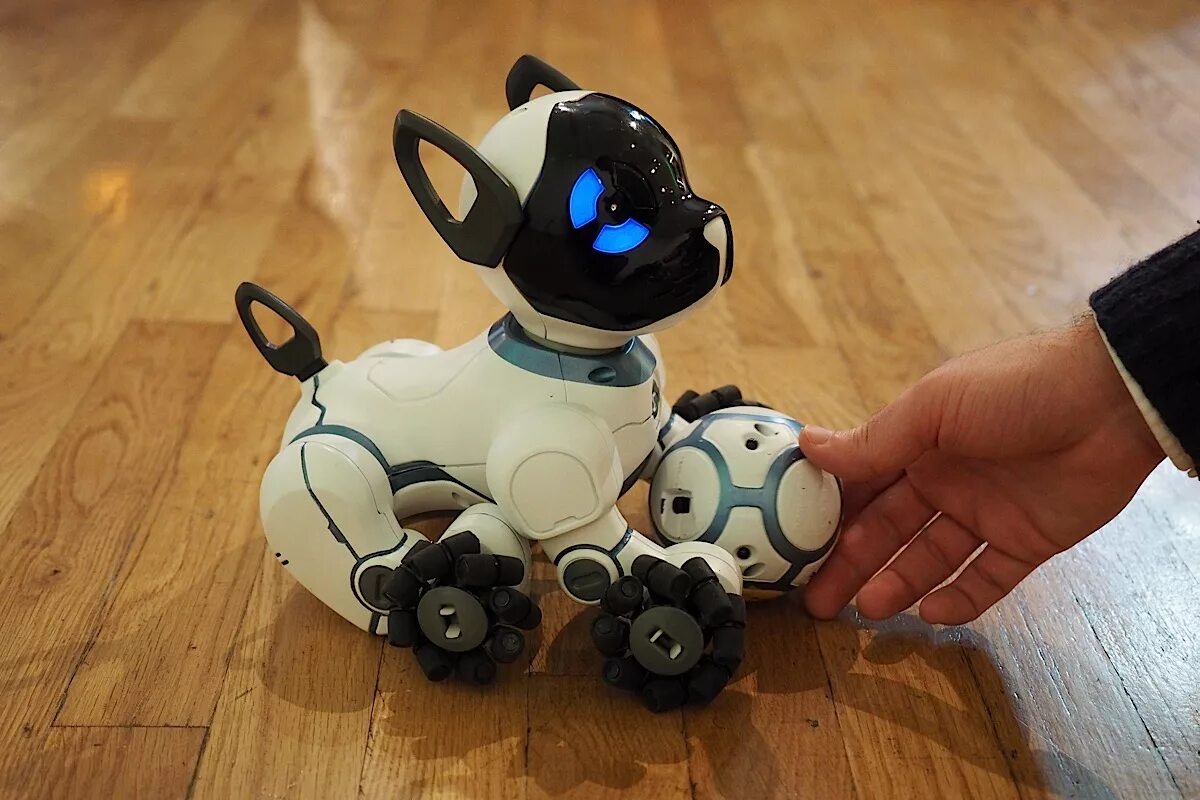 Включи самую игрушки. Робот собака WOWWEE Chip. Робот WOWWEE собачка чип 0805eu. Робот-собака чип 805 WOWWEE. Робопес далматинец.