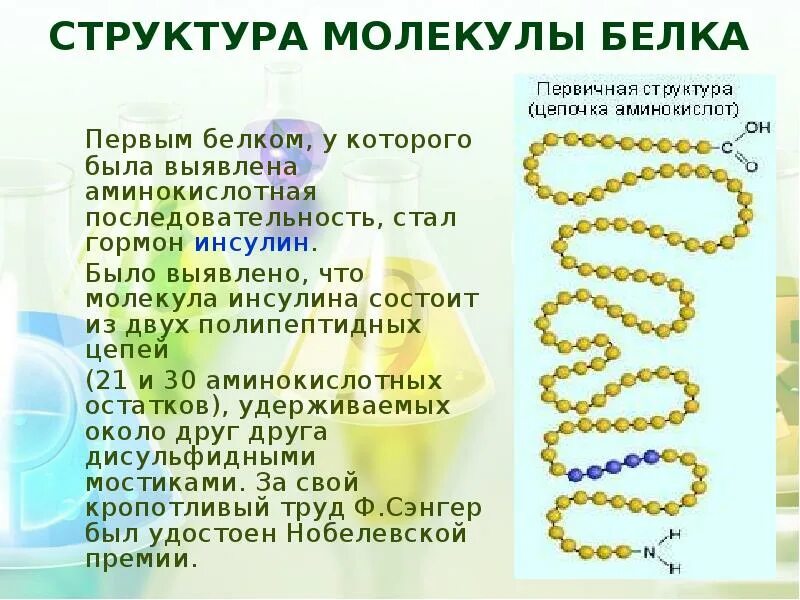 Молекулы инсулина структура белка. Структура молекулы инсулина. Строение молекул белков. Структура молекулы белка. Первые белковые