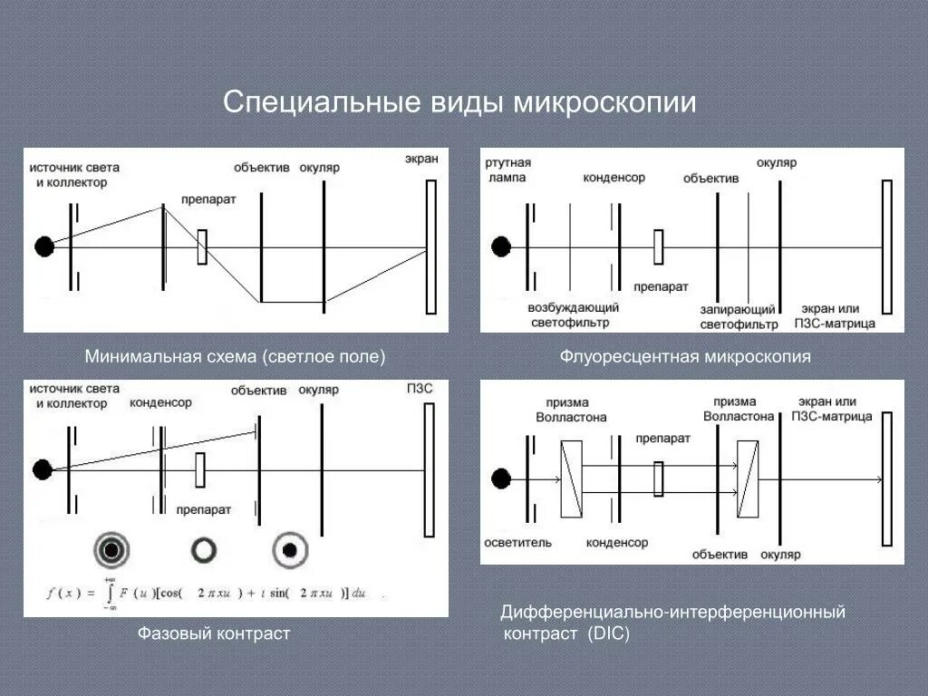 Заполнить таблицу методы микроскопии. Специальные виды оптической микроскопии. схема виды микроскопии. типы микроскопии. специальные методы оптической микроскопии.