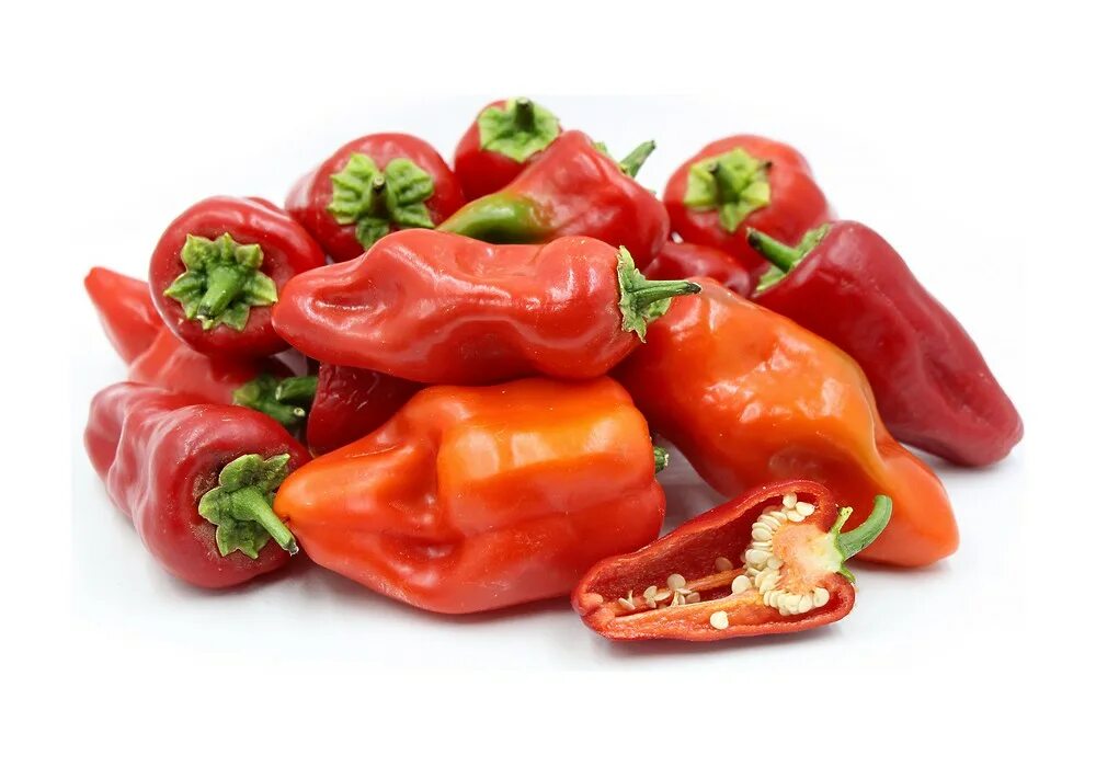 Паприка фото. Паприка перец приправа. Паприка сладкая молотая. Перец сладкий паприка. Capsicum annuum сладкий перец.