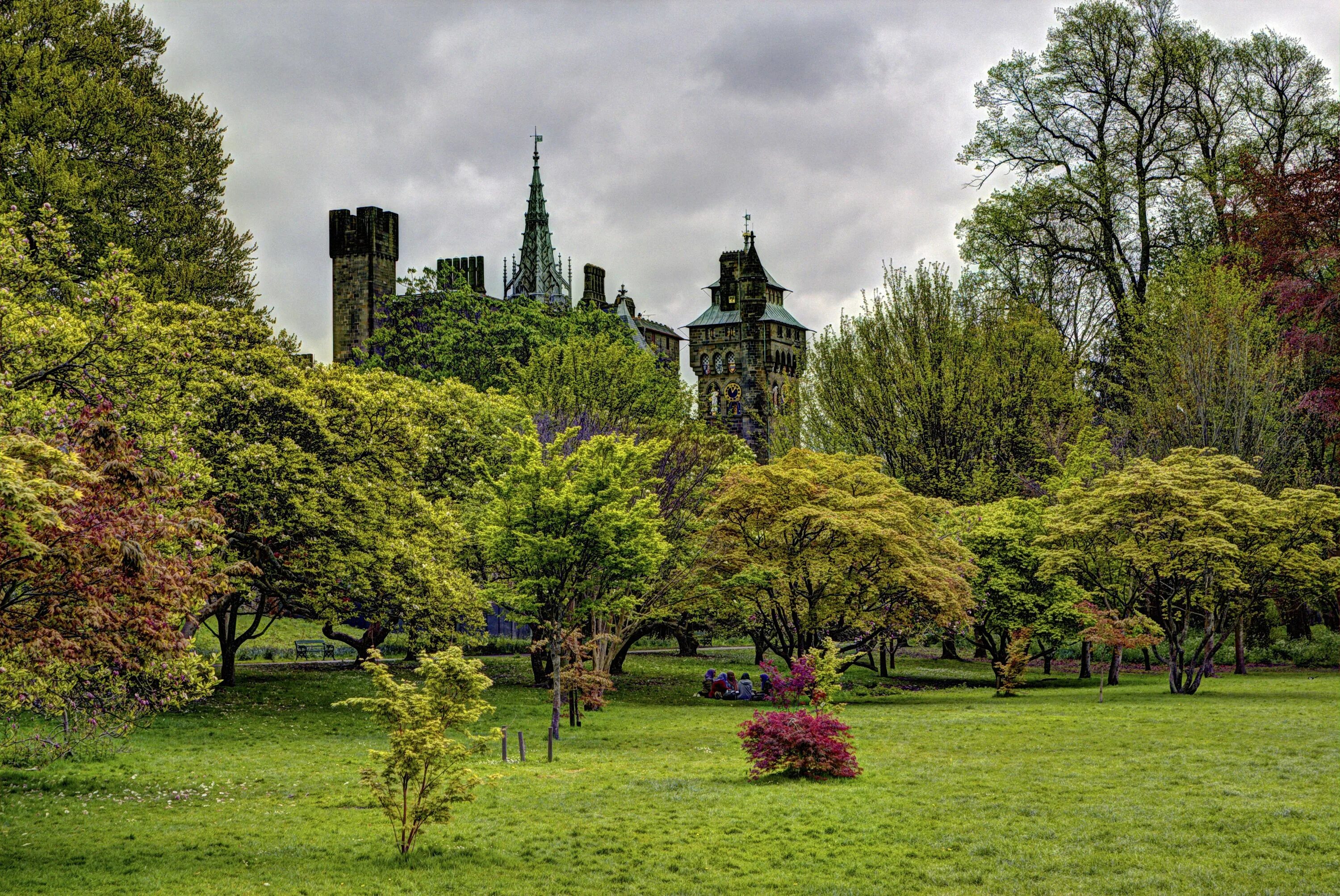 Bute Park Cardiff. Англия. Поместье Шеффилд. Парк.. Парк в Англии парк Уэльса. Беркшир Англия Велфорд парк. Природа английский 6 класс