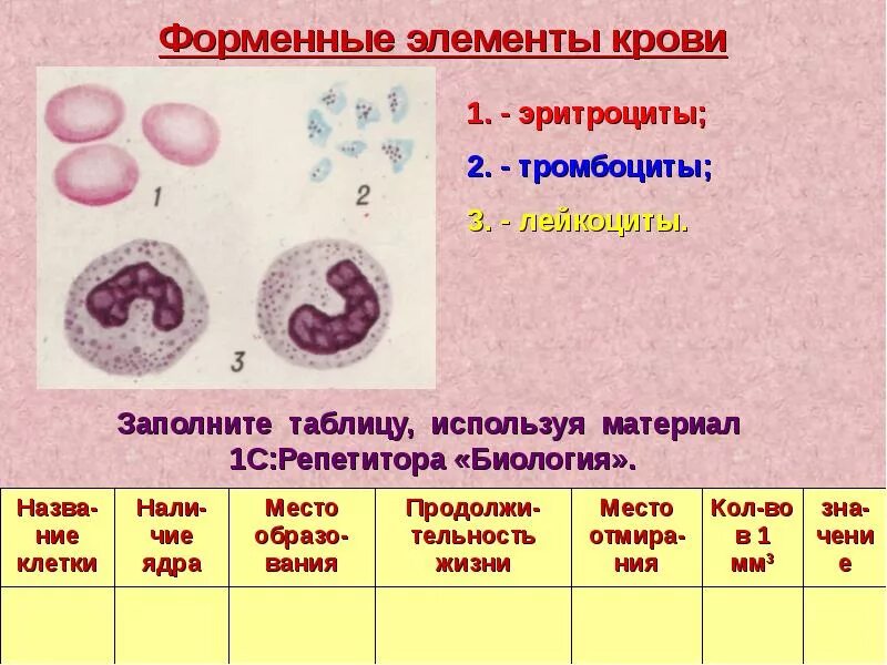 Схема строения форменных элементов крови. Состав крови форменные элементы. Ферментные элементы крови. Форменные элементы клетки крови. Элементы крови с ядрами