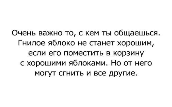 И являются лучшими среди лучших. Гнилое яблоко цитата. Гнилое яблоко не станет хорошим. Люди как гнилое яблоко.