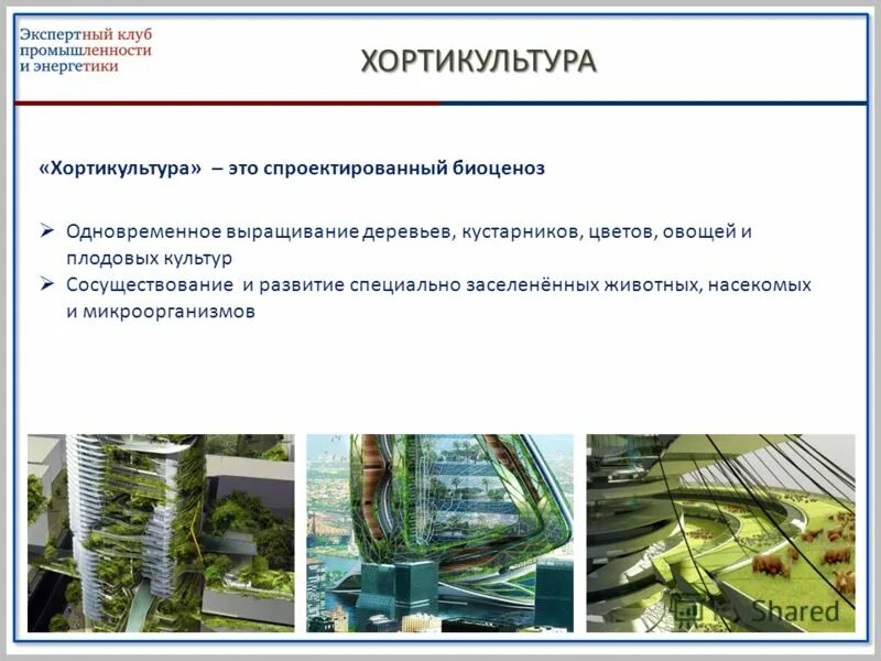 школа живых систем