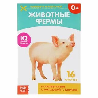 Раннее развитие животные