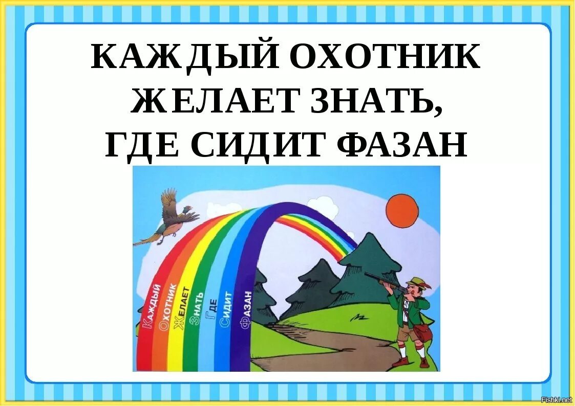 Каждыйохотникжелаетзнатъ. Каждый охотник желает знать. Каждый охотник желает знать где сидит фазан. Каждый охотник желает знать где. Каждый охотник желает знать где сидит фазан цвета радуги.