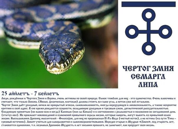 Характеристика человека змея. Славянский календарь змея. Изображение чертога змея. Чертог змея символ. Славянский чертог змея.