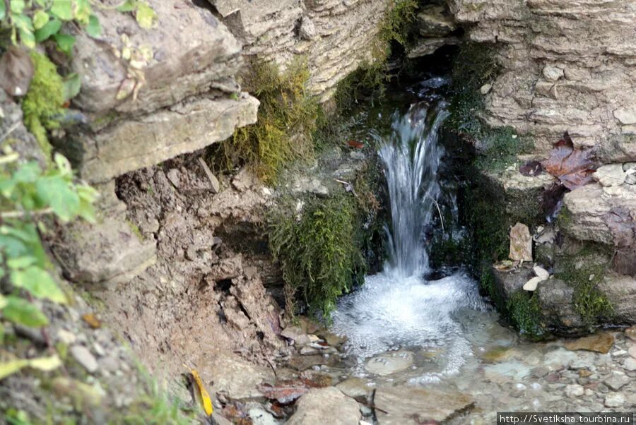 Источники подземных вод Родники Минеральные воды. Родник горной питьевой воды Фиагдон. Подземные воды Родник источник. Липецк вода Родник.