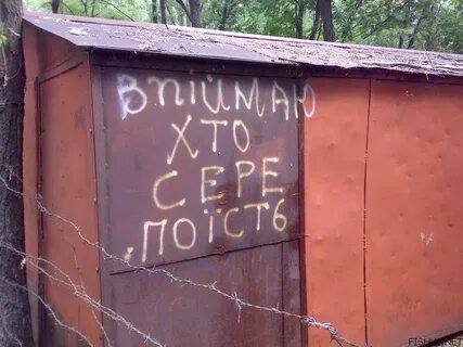 Оставайтесь в гараже