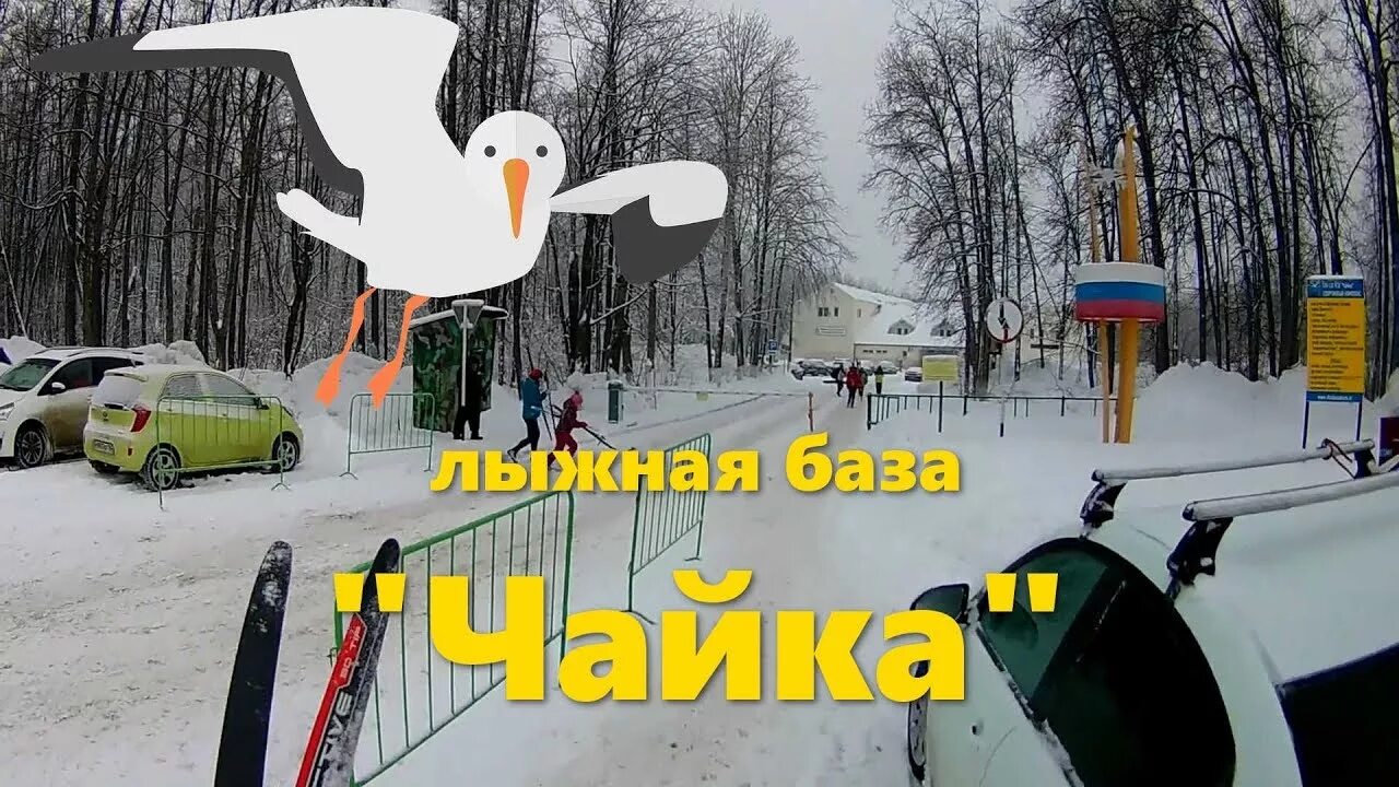 Сайт чайка самара. Чайка самара. лыжная база чайка. самара туристическая трасса чайка. трассы лыжной базы чайка.