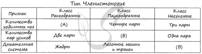 Тест членистоногие 7 класс. Класс членистоногие таблица.