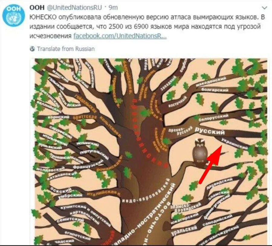 Древа юнеско. Генеалогическое дерево языков. языковые деревья. языковое древо юнеско.