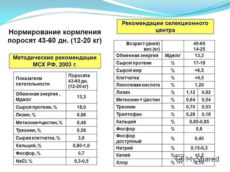 Бензин 46 мдж кг