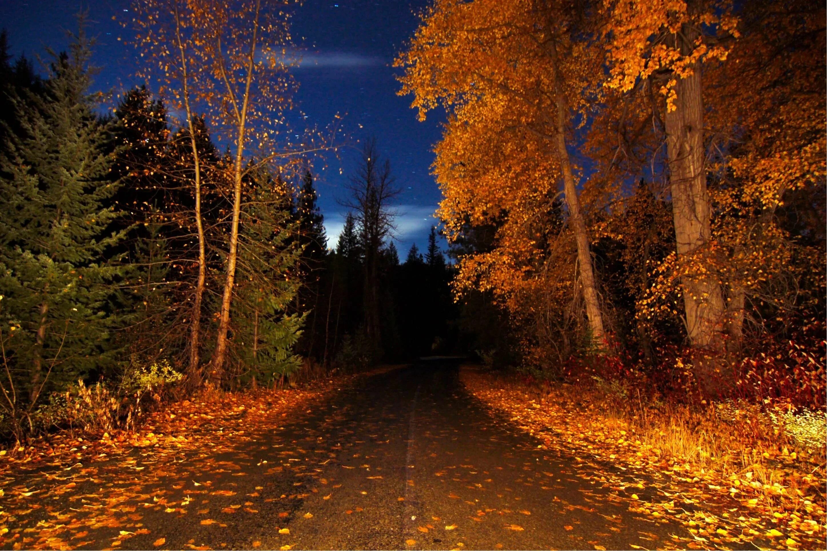 Красивая ноябрьская ночь. Осенняя ночь. Осенний вечер. Осень вечер. Осень ночь.