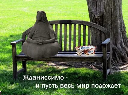 Вместе подождем