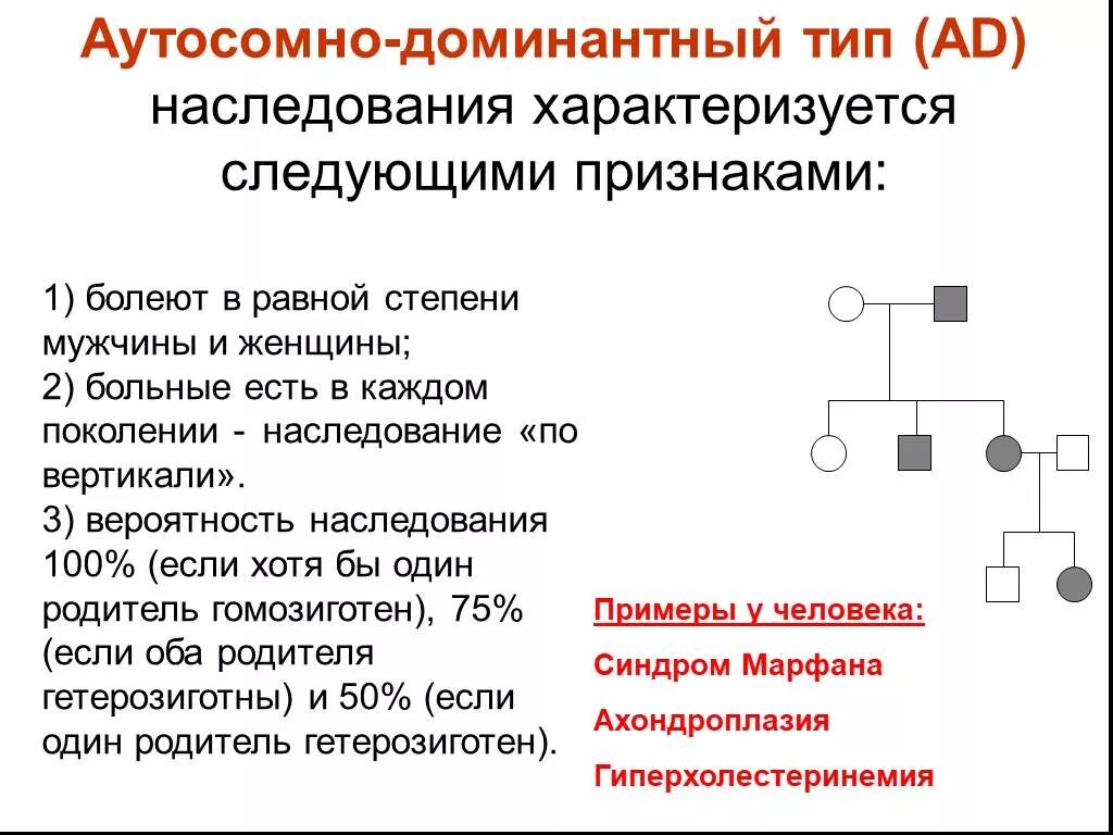 Аутосомное наследование пример. Признаки аутосомно-доминантного типа наследования. Аутосомно-доминантный Тип наследования типы. 1.Доминантный-аутосомно Тип наследования. Типы наследования признаков аутосомно доминантный Тип наследования.