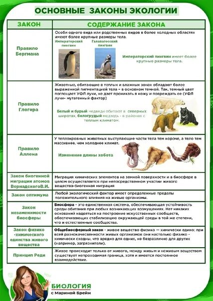 10 экологических законов. Законы экологии ЕГЭ биология. Основные законы экологии. Основные законы биологии и экологии. Экология для ЕГЭ по биологии.