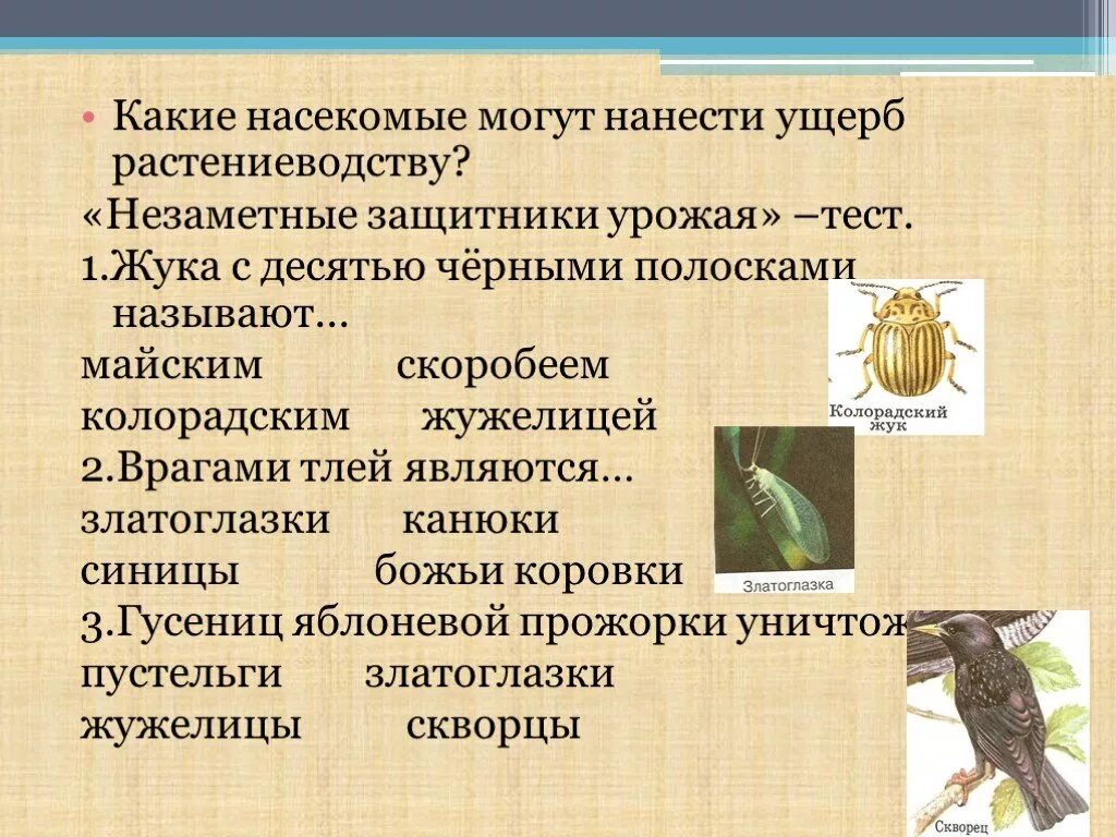 Незаметные защитники урожая. Незаметные защитники урожая презентация. информация о насекомых. доклад на тему незаметные защитники урожая.