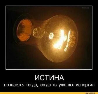 Где истина жизни