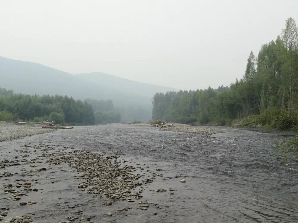 Притоки реки амгунь. Река амгунь. река амгунь селемджа. тугур (хабаровский край). застава река амгунь.