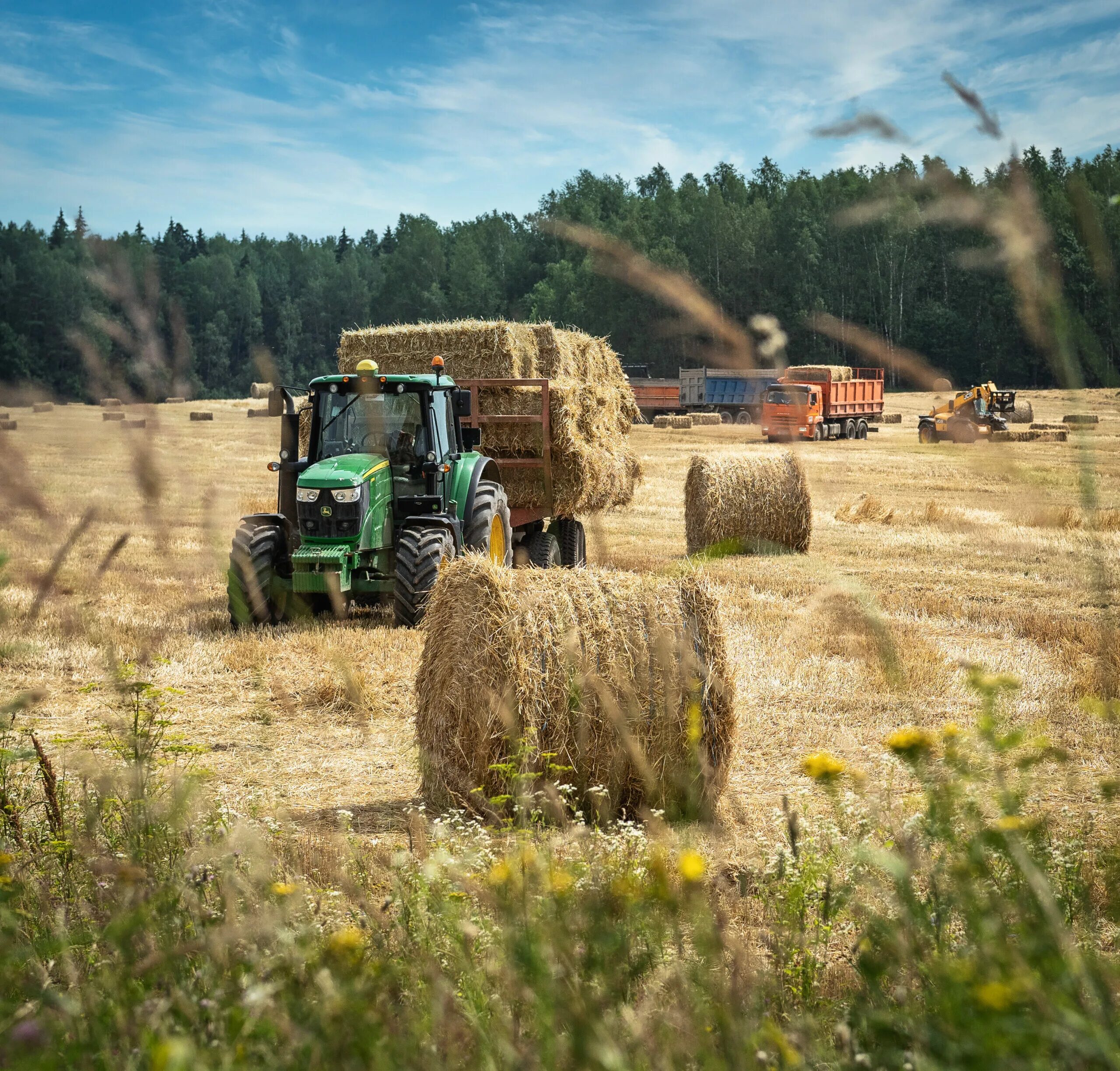 Август уборочная пора. Страда 60. Солгон уборочная 2022. Весенняя страда хлеборобов. Страда сфорий.