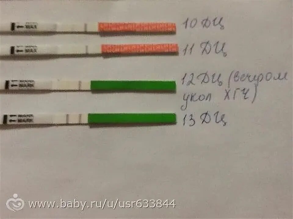 Овуляция после овитреля через сколько. Овуляция после овитреля через сколько