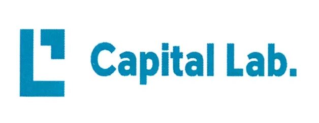 Capital light модель банк. L capital. L capital. L capital. Кэпитал строй.