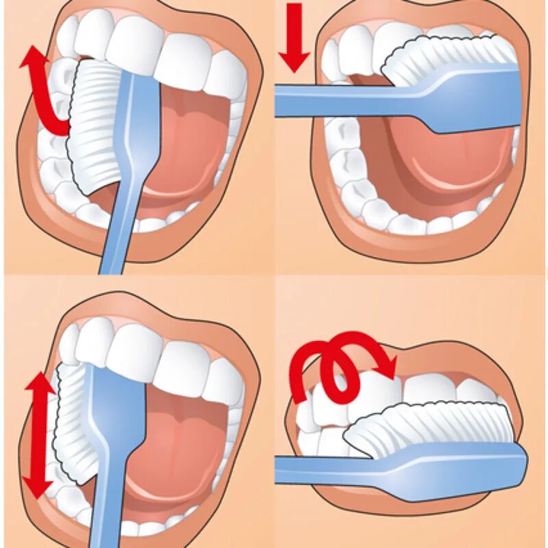 Схема правильной чистки зубов. Как правильно чистить зубы. Как правильно читать зубы. Какпровельно чистить зубы. Плюсы чистки зубов