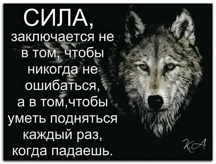 Волки и люди цитаты на картинках