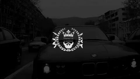 Гио пика буйна голова 5