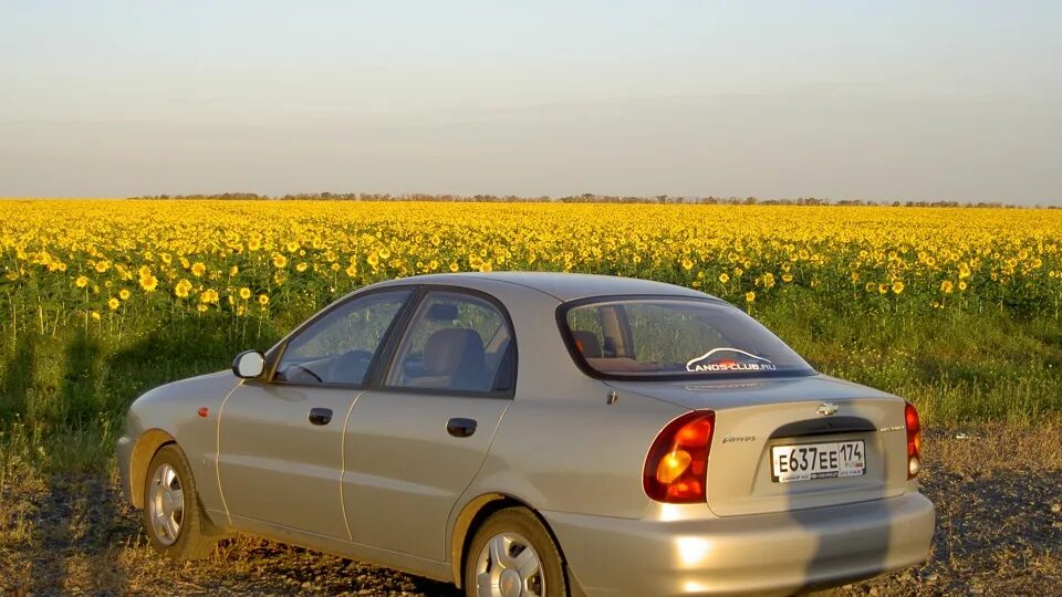 Ланос купить бу авито. Chevrolet lanos. Шевроле Ланос 2. Машина Шевроле Ланос. Шевроле Ланос 2007 АТ.