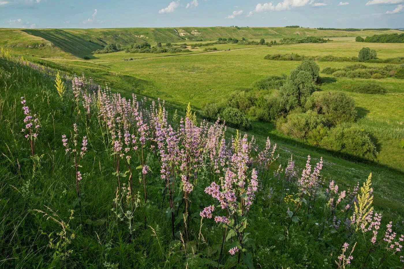 Каким будет лето татарстане