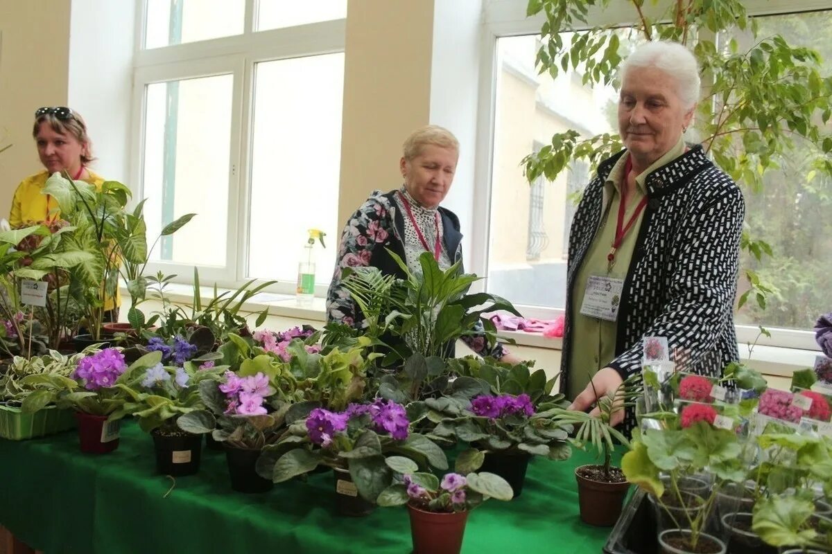 Мичуринск комнатные цветы