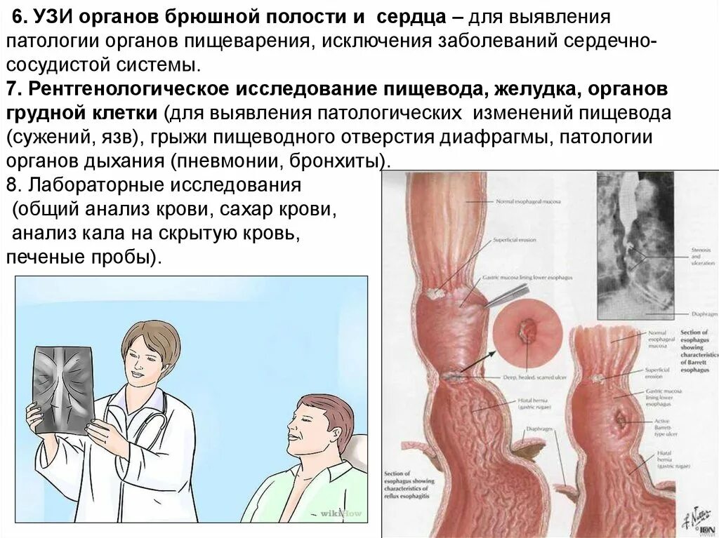 Комплексное узи органов брюшной полости. Комплексное узи органов брюшной полости. Трансабдоминальное узи желудка. Гастроэзофагеальная рефлюксная болезнь. Узи брюшной полости.